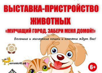 Афиша 05.06.2021 г.