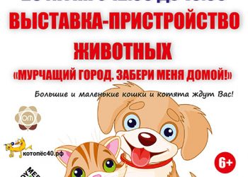 Афиша 26.06.2021 г.