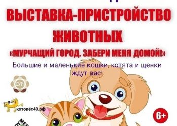 Афиша 03.07.2021 г.