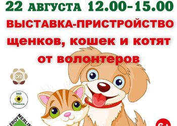 Афиша 22.08.2021 г.