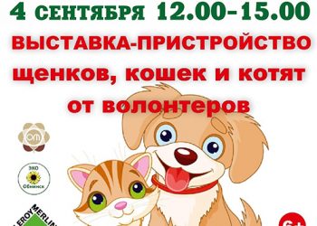 Афиша на 04.09.2021 г.