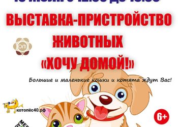 Афиша на 16.07.2022 г.