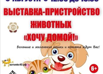 Афиша на 06.08.2022 г.
