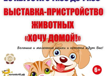 Афиша на 20.08.2022 г.
