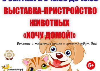 Афиша на 03.09.2022 г.