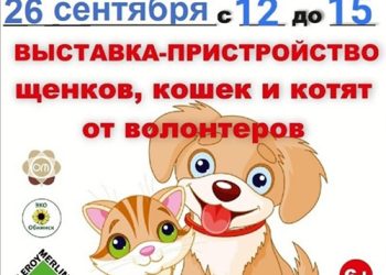 Афиша на 26.09.2022 г.