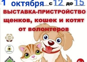 Афиша на 01.10.2022 г.