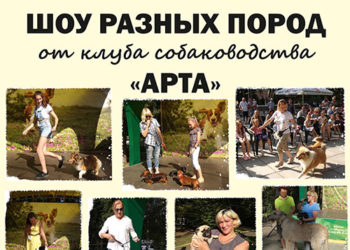 Афиша на 10.09.2023 г.