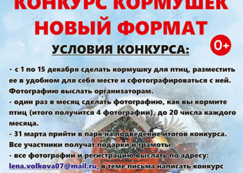 Афиша на 15.12.2023 г.
