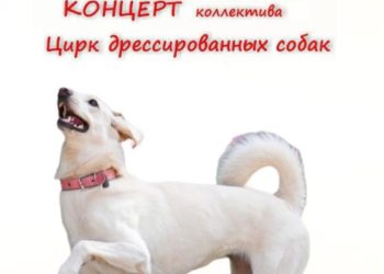 Афиша на 01.06.2024 г.
