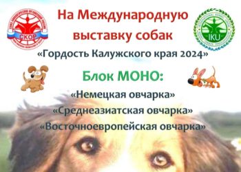 Афиша на 06.07.2024 г.
