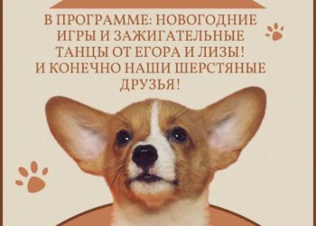 Афиша на 01.12.2024 г.