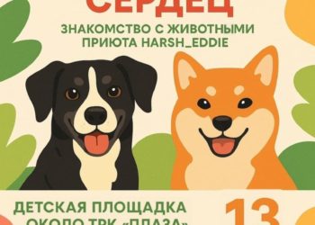 Афиша на 12.06.2025 г.