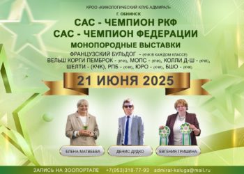 Афиша на 12.06.2025 г.