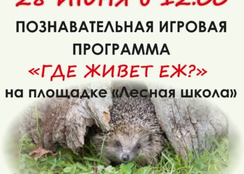 Афиша на 28.06.2025 г.