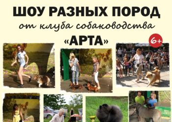 Афиша на 01.09.2026 г.