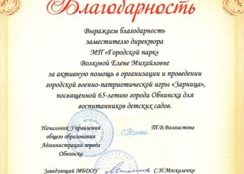 Благодарственное письмо Волковой Е.М.