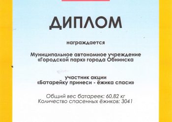 Диплом МАУ “Городской парк”