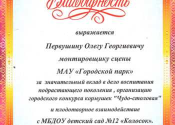 Благодарность Первушину О.Г.