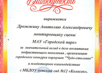 Благодарность Дрожжину А.А.