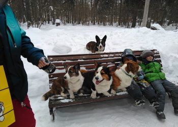 Фотографии от 21.02.2021 г.