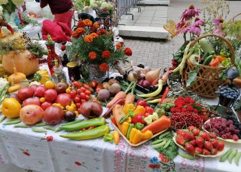 Фотографии 20.08.2022 г.