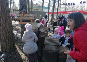 Фотографии 31.03.2024 г.